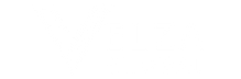 Velza Global Group